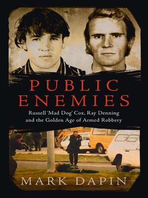 cover image of Public Enemies